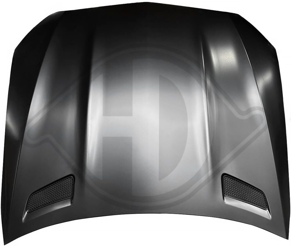 Diederichs Motorhaube 1674200 Vorne
