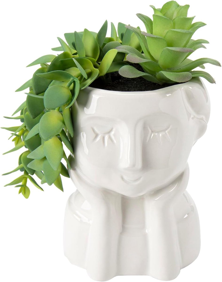 SnelShoppen Kunstplant Succulenten in Moderne Keramische Pot met Unieke Gezichtsvorm