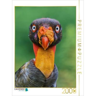 CALVENDO Puzzle Auge in Auge mit dem Königsgeier - Wildes Costa Rica | 2000 Teile Lege-Größe 90x67cm Foto-Puzzle für glückliche Stunden