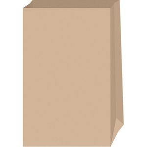 Folia Papiertüten 41210, braun, 12 x 21 x 6cm, 15 Stück