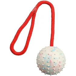 3x Trixie Ball mit Wurfseil D=7cm/30cm (Ballspielzeug Hund), Hundespielzeug