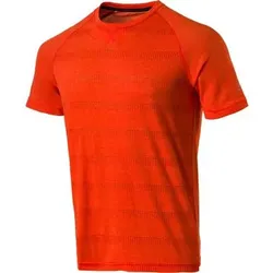 PRO TOUCH Herren T-Shirt Afi, Größe S in Orange Orange