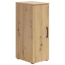 Schrank Multistauraum Eiche Artisan hängend/stehend