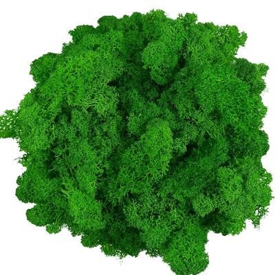 Inspire Select Artificial Reindeer Moss Decor Faux Green Moss For Crafts, Potted Plants & Wall Art middle Green 2.8 Oz
