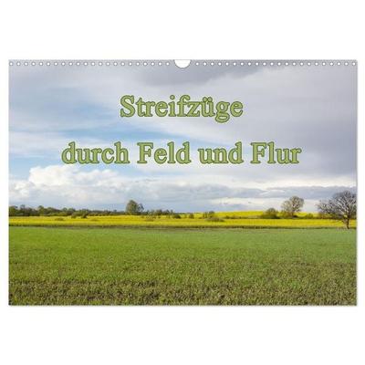 Streifzüge durch Feld und Flur (Wandkalender 2026 DIN A3 quer), CALVENDO Monatskalender
