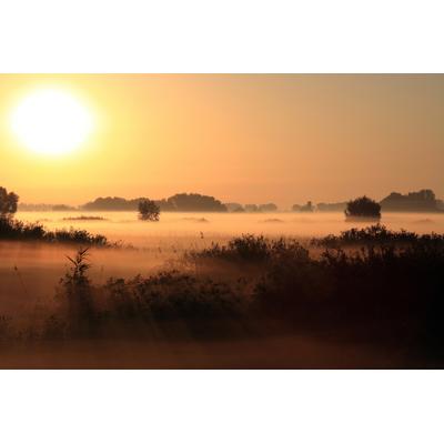Fototapete PAPERMOON "SONNENUNTERGANG NEBEL LANDSCHAFT", bunt, B:4m L:2,6m, Vlies, Tapeten