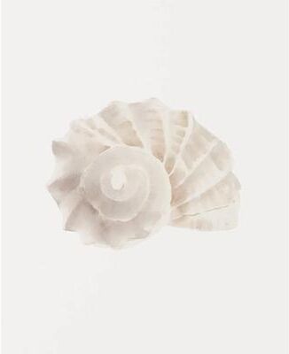 Uplifted Finds Watercolor Seashore Canvas   Coastal Shell & Starfish Print   Executive Studio & Beachfront Sanctuary Decor 6 1 Pc 55 X 80 Cm No Frame