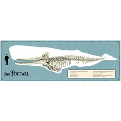 Moby Dick, Belletristik von Herman Melville