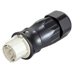 Wieland Electric 96.031.4550.8 Steckverbinder