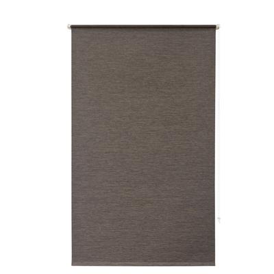 Rollo OTTO HOME "RILLEY" Gr. 4, braun (grau), B:60cm H:150cm, Polyester, Rollos, Seitenzugrollo, Rollo in eleganter Gewebestruktur - NEUHEIT