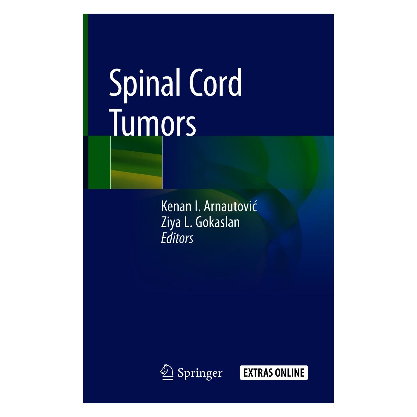 Springer Spinal Cord Tumors (Englisch, Hardcover, Kenan I. Arnautović, Ziya L. Gokaslan) (9783319994376)