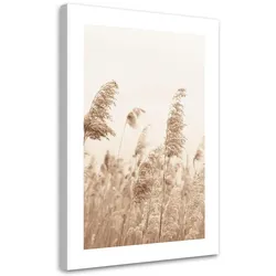 WANDBILD schilf das sich im wind wiegt