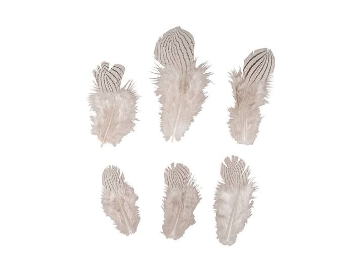 Rayher Deko-Federn Zebramuster 8-12 cm 6 Stück