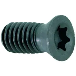 Spannschraube M4x10 T15