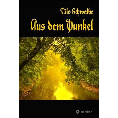 Aus dem Dunkel, Gebundene Ausgabe von Tilo Schwalbe, Tredition, 978-3-7469-5138-6
