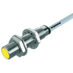 Turck Sensor BI4U-M12-AN6X
