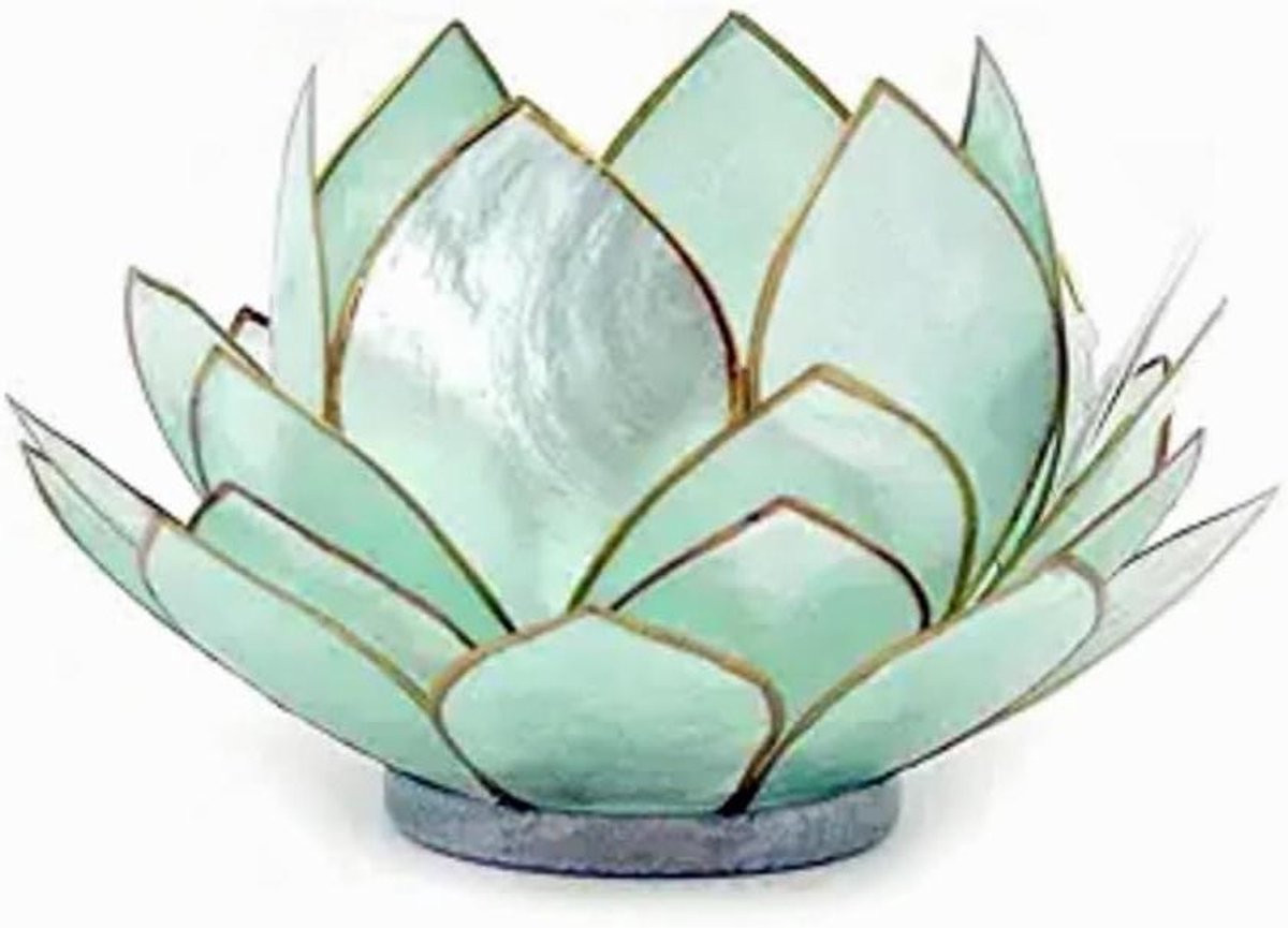 Turquoise blauwe lotusbloem kaarshouder van natuurlijke schelpen met een diameter van 12 cm