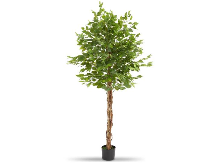 Künstlicher Ficusbaum Fida, realistische Textur - 180 cm
