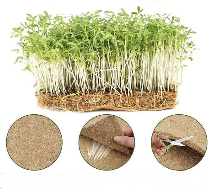 FIND IT IMPORT EXPORT Kokosmat voor kieming en hydroponics, 50 x 50 cm