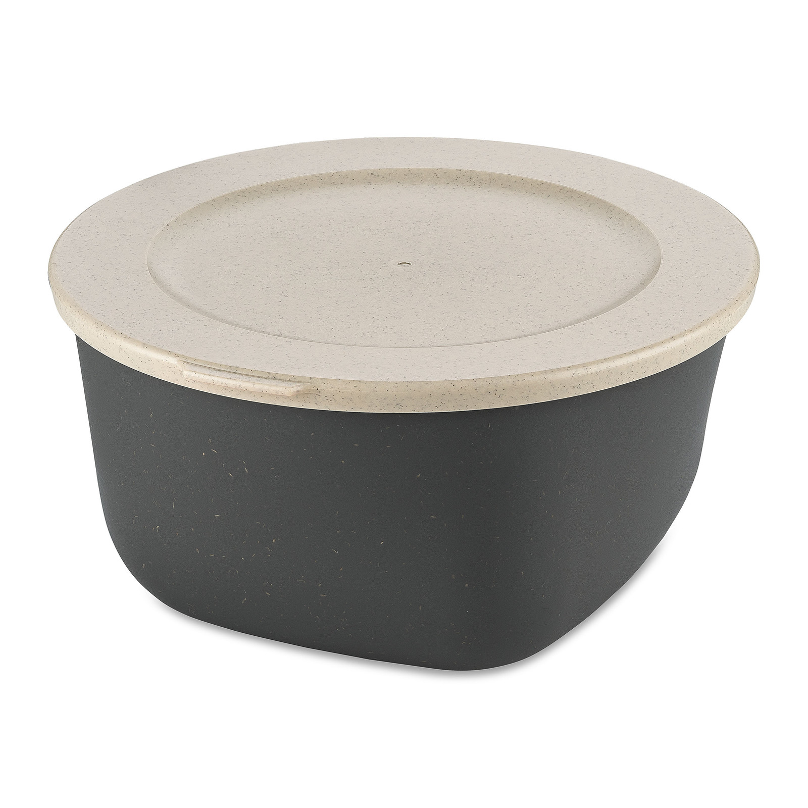Koziol Connect Box set van 2 luchtdichte opbergbakken met deksel, 2 liter, grijs