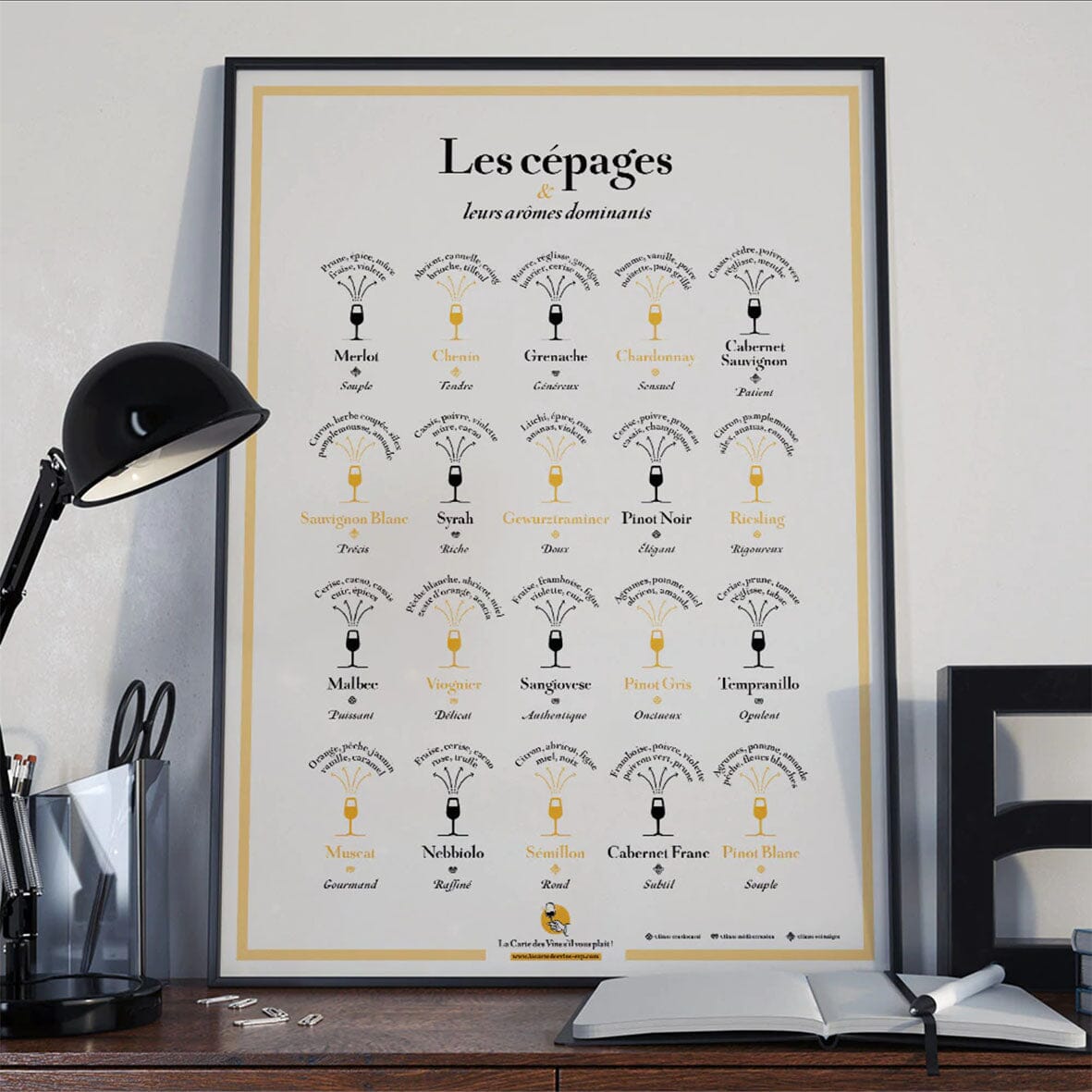 La carte des vins Affiche - Les cépages et leurs arômes dominants - 50 x 70 cm