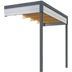 Weka Anbaudach für Gartenhaus Batu 3 hellgrau 150 x 300 cm