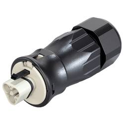 Wieland Electric 96.032.4550.8 Steckverbinder