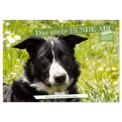 Das coole Hunde ABC (Wandkalender 2027 DIN A3 quer), CALVENDO Monatskalender
