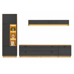 Wohnconcept Evo TV-/Wohnlösung 40 E6 HG 96