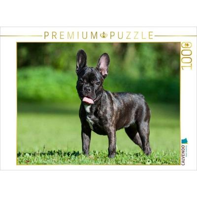 CALVENDO Puzzle Französische Bulldogge Welpe auf der Wiese | 1000 Teile Lege-Größe 64x48cm Foto-Puzzle für glückliche Stunden