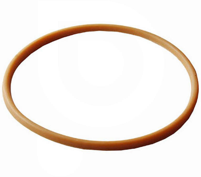 Polsinelli Joint pour porte ⌀400
