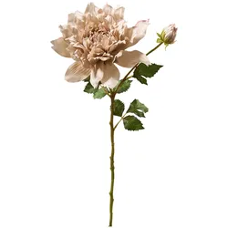 Dahlie 66cm mit Knospe/Blätter beige