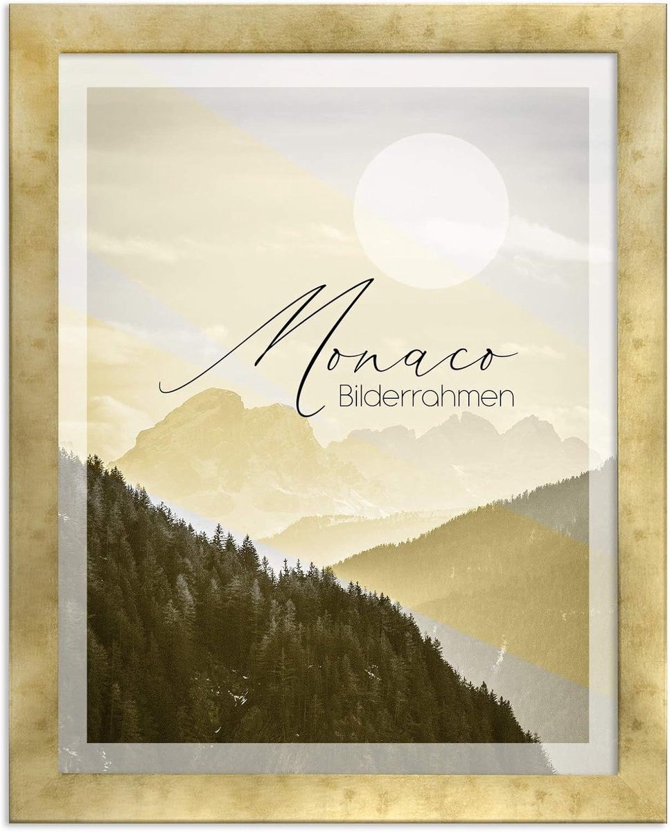 Fotolijst Monaco 40x100 cm in Antiek Goud