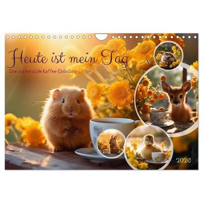 Heute ist mein Tag (Wandkalender 2026 DIN A4 quer), CALVENDO Monatskalender