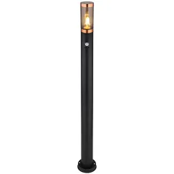 Standleuchte Außenbeleuchtung Stehleuchte mit Bewegungsmelder Garten Edelstahl, App-Steuerung, 1x Smart RGB LED 10W 806Lm, DxH 7,6x110 cm