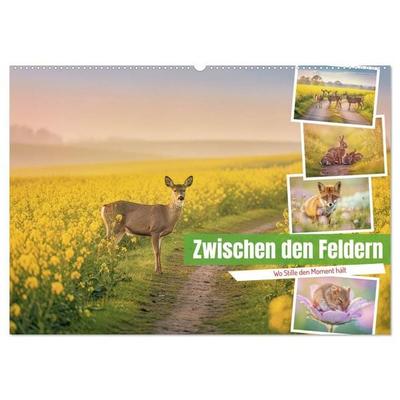 Zwischen den Feldern (Wandkalender 2027 DIN A2 quer), CALVENDO Monatskalender