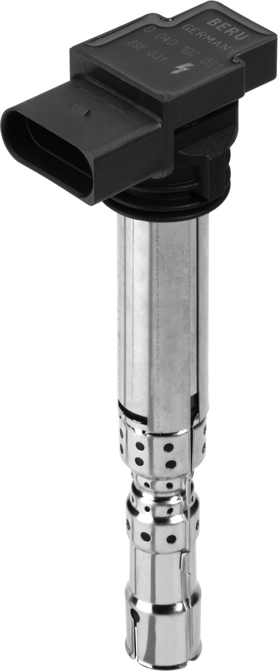Borgwarner (Beru) Zündspule Zse031 Für Vag