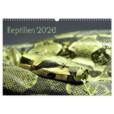 Reptilien 2026 (Wandkalender 2026 DIN A3 quer), CALVENDO Monatskalender
