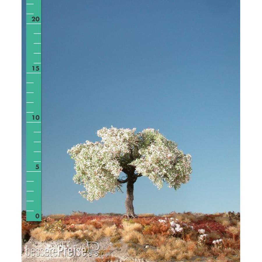 Silhouette 226-11