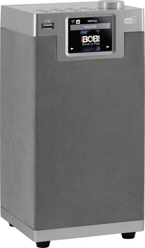 Imperial DABMAN i610silber Tischradio DAB+, DAB, Internet, UKW Bluetooth, WLAN DLNA-fähig Silber