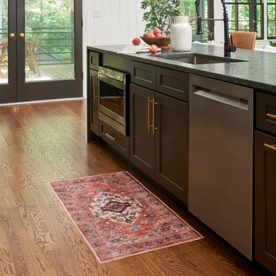 Nourison Brilliance Machine Washable Persian Medallion Area Rug