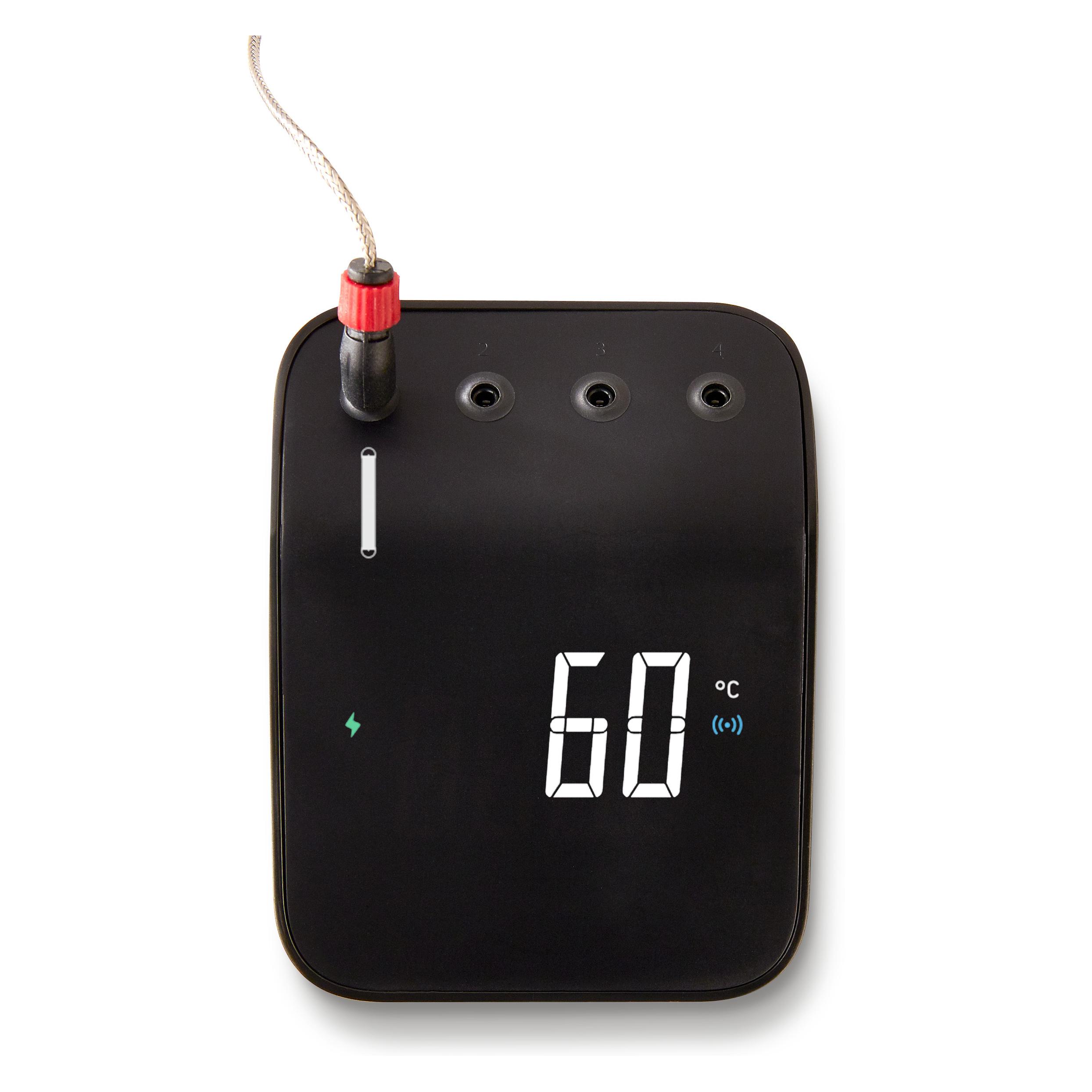 Weber Connect Smart (3202)