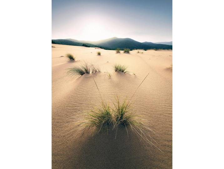 FOTOTAPETE VIVID DUNES
