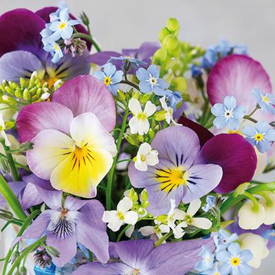 ti-flair 20 Servietten Papier 33x33cm 3-lagig hochwertige Einweg Papierservietten Gastroservietten Frühlingsservietten Stiefmütterchen Vergissmeinnicht Blumen