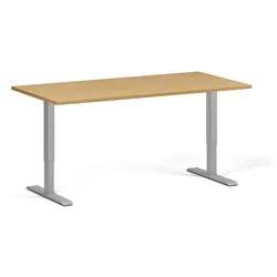 Höhenverstellbarer Schreibtisch, 1 Motor, 74-123 cm, Tischplatte 160x80 cm, graues Metallgestell, Buche
