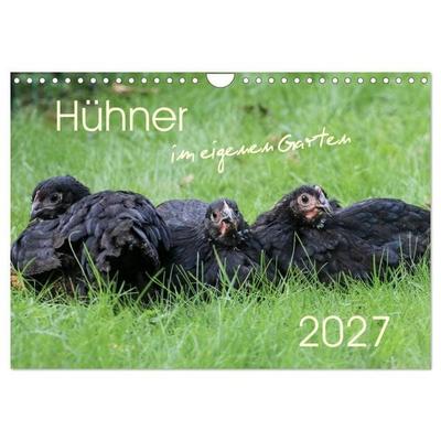 Hühner im eigenen Garten (Wandkalender 2027 DIN A4 quer), CALVENDO Monatskalender