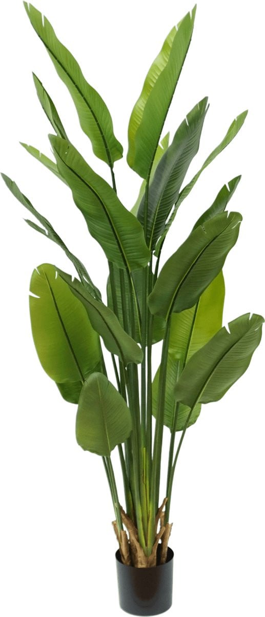 Strelitzia Nicolai Kunstplant, 180 cm, Groen