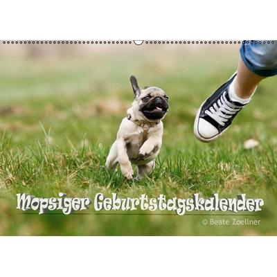 Mopsiger Geburtstagskalender (Wandkalender immerwährend DIN A2 quer)