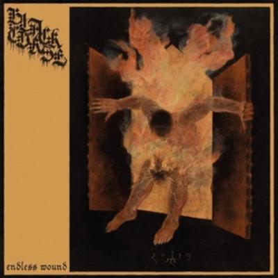 Endless Wound - Black Curse, Vinyl