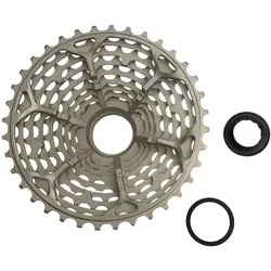 Trp, Velokassette, (12-fach, 11-36)